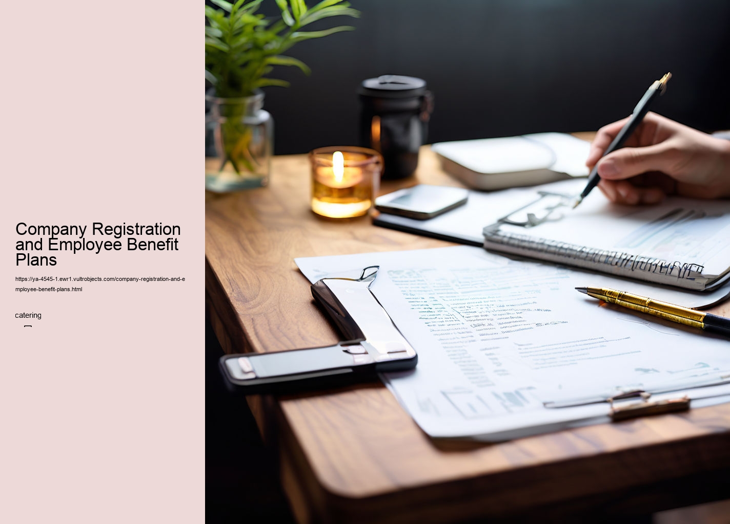 Company Registration and Employee Benefit Plans