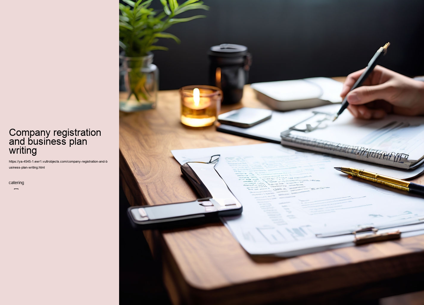 Company registration and business plan writing